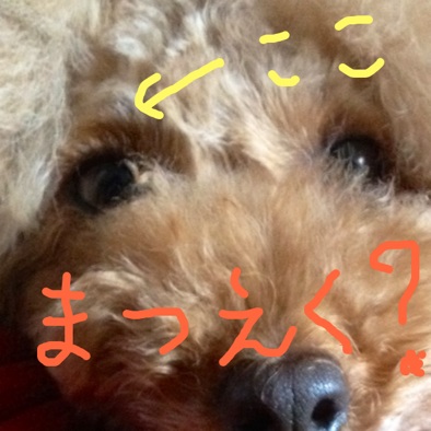܂GNH