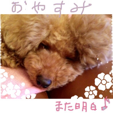 Good night c
