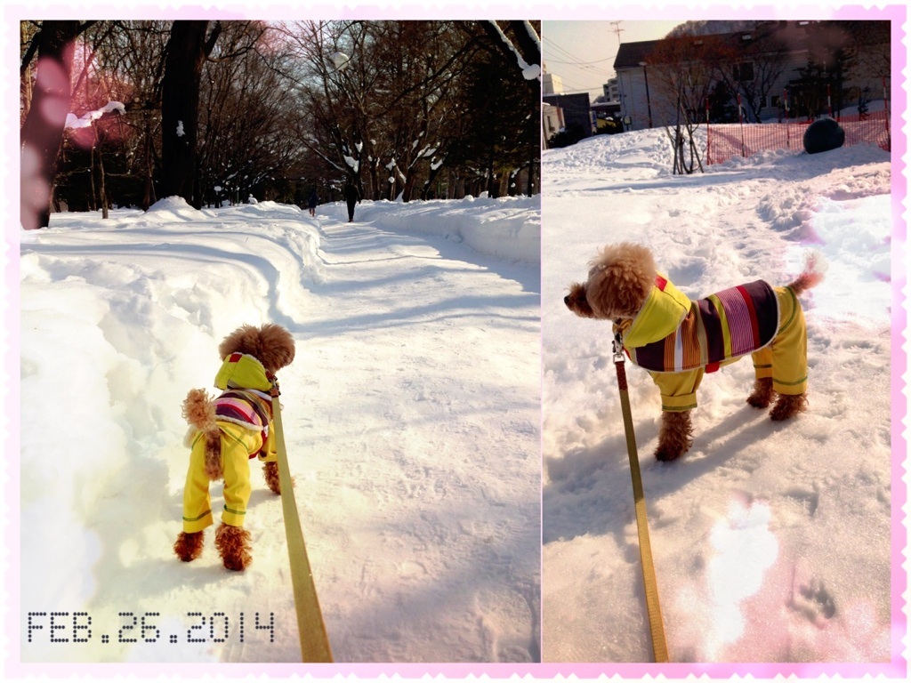����炩�`(�O�[^)�m��