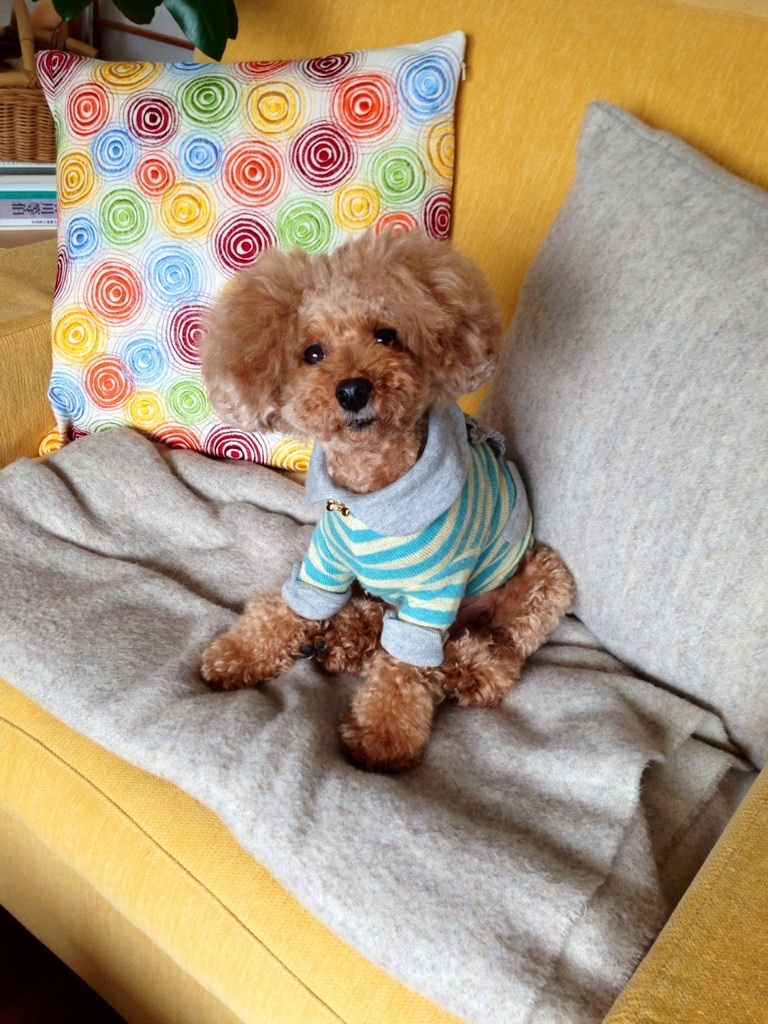 ����Ƃ�B�B