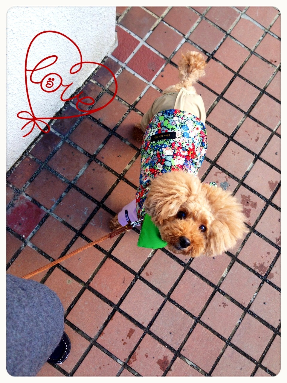 �M���҂�