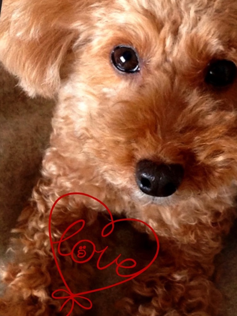See you !  (�O�[^)�m