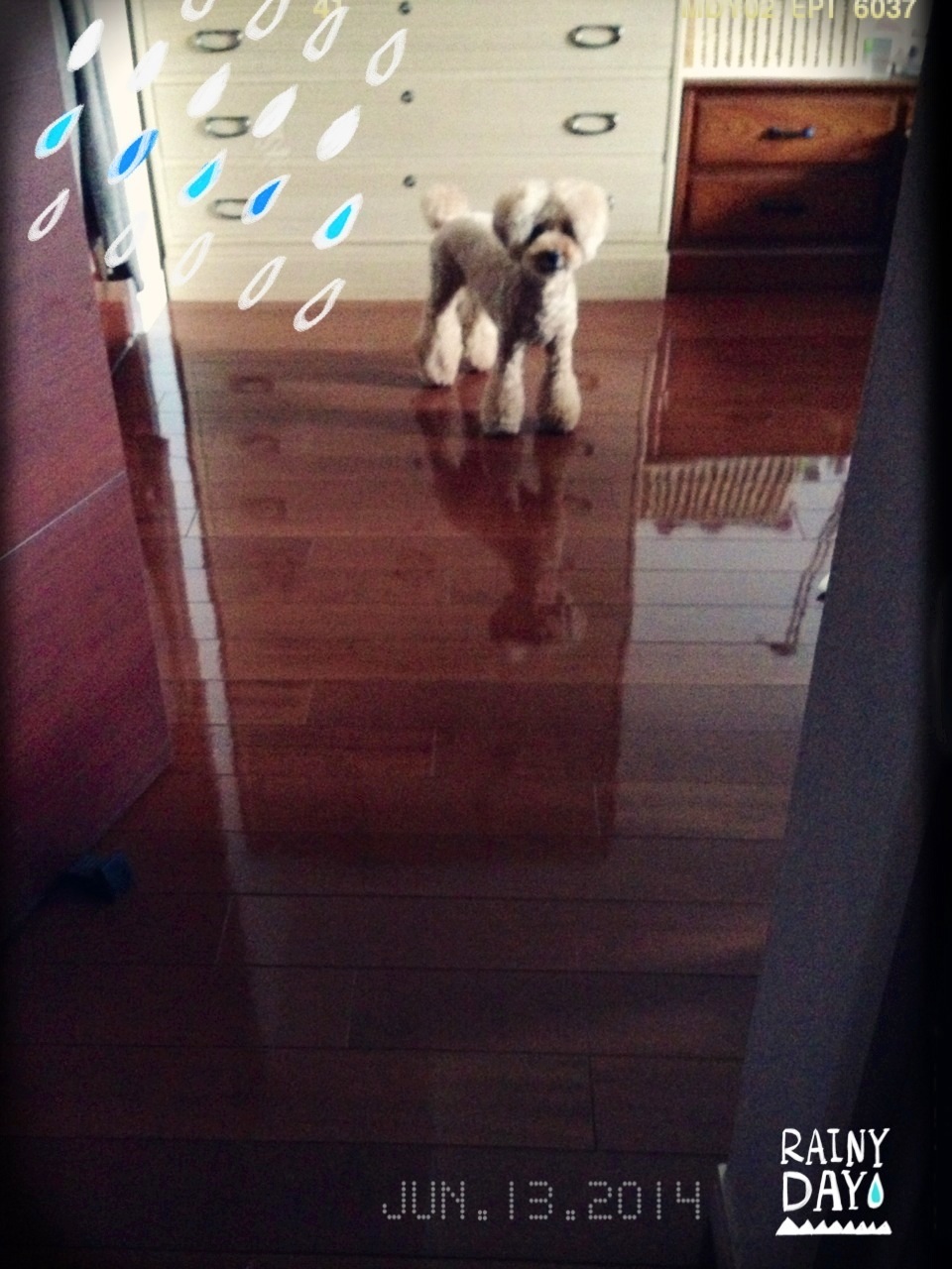 �J���ˁB�B