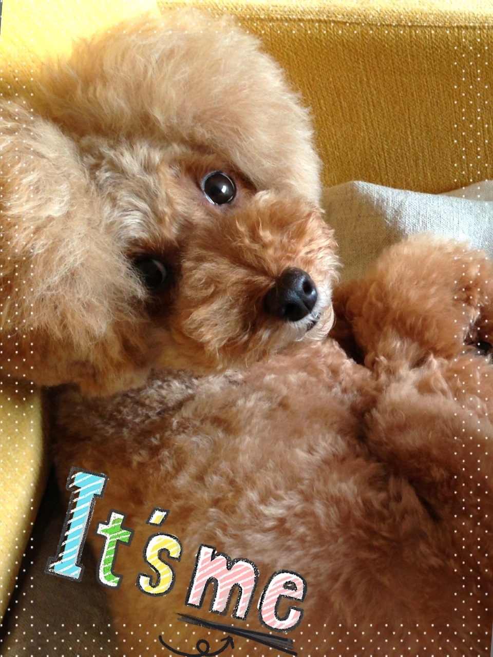 Hello ! again ��