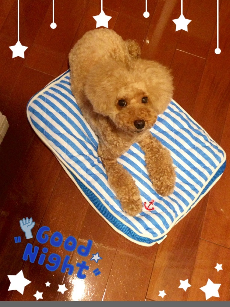 �L�b�`��