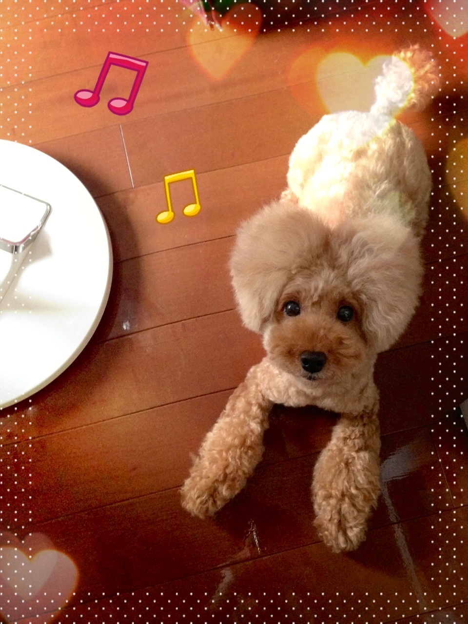 voice��