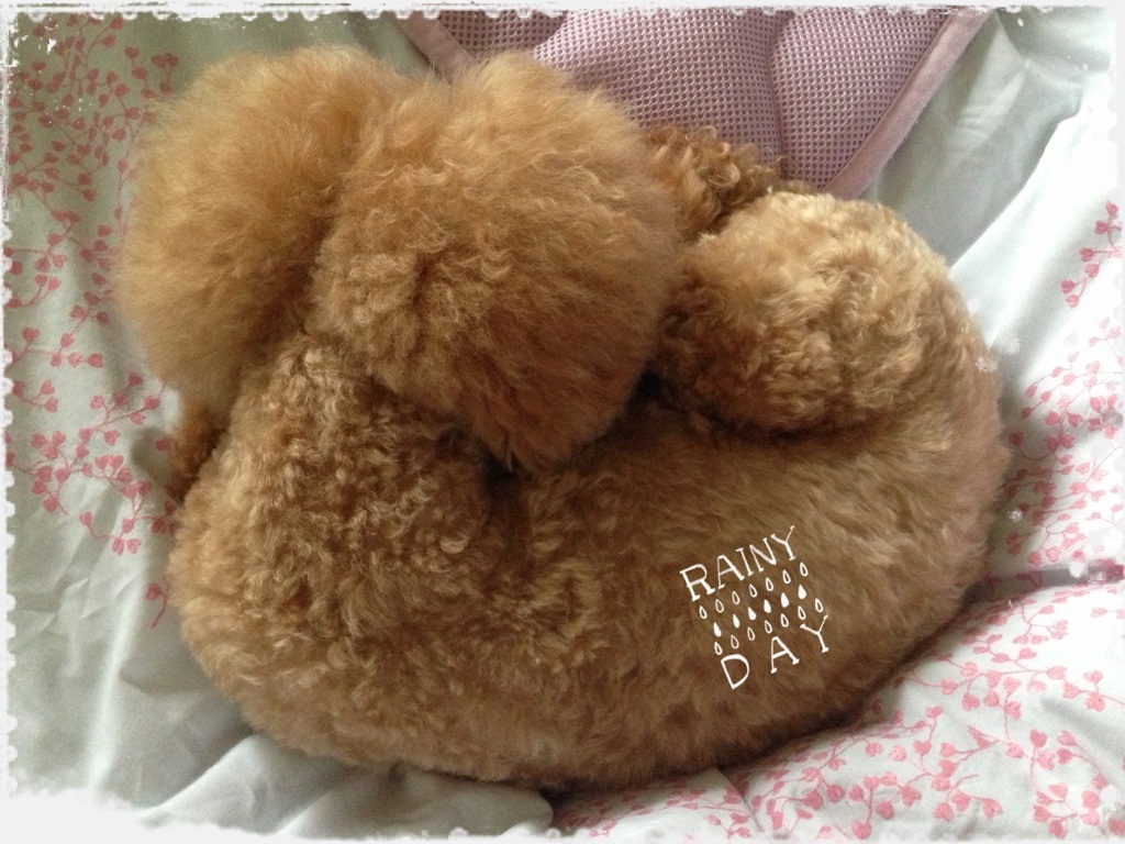 �����ނ�H