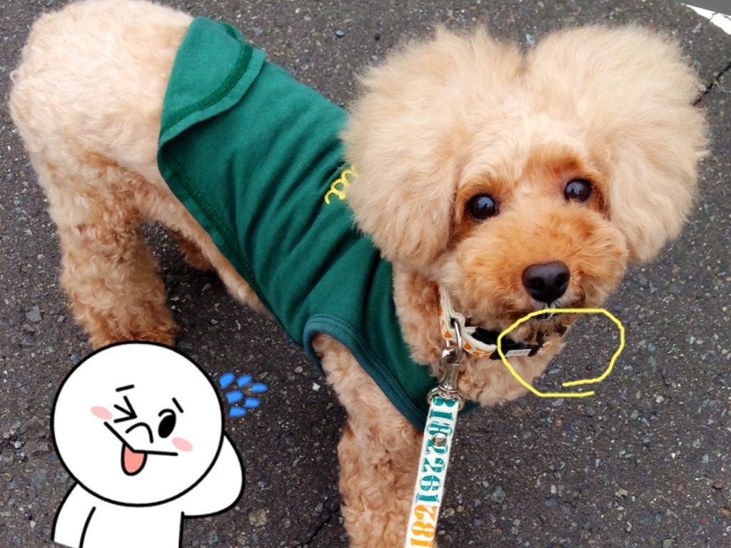 �ق�ق� (�L�E_�E`)