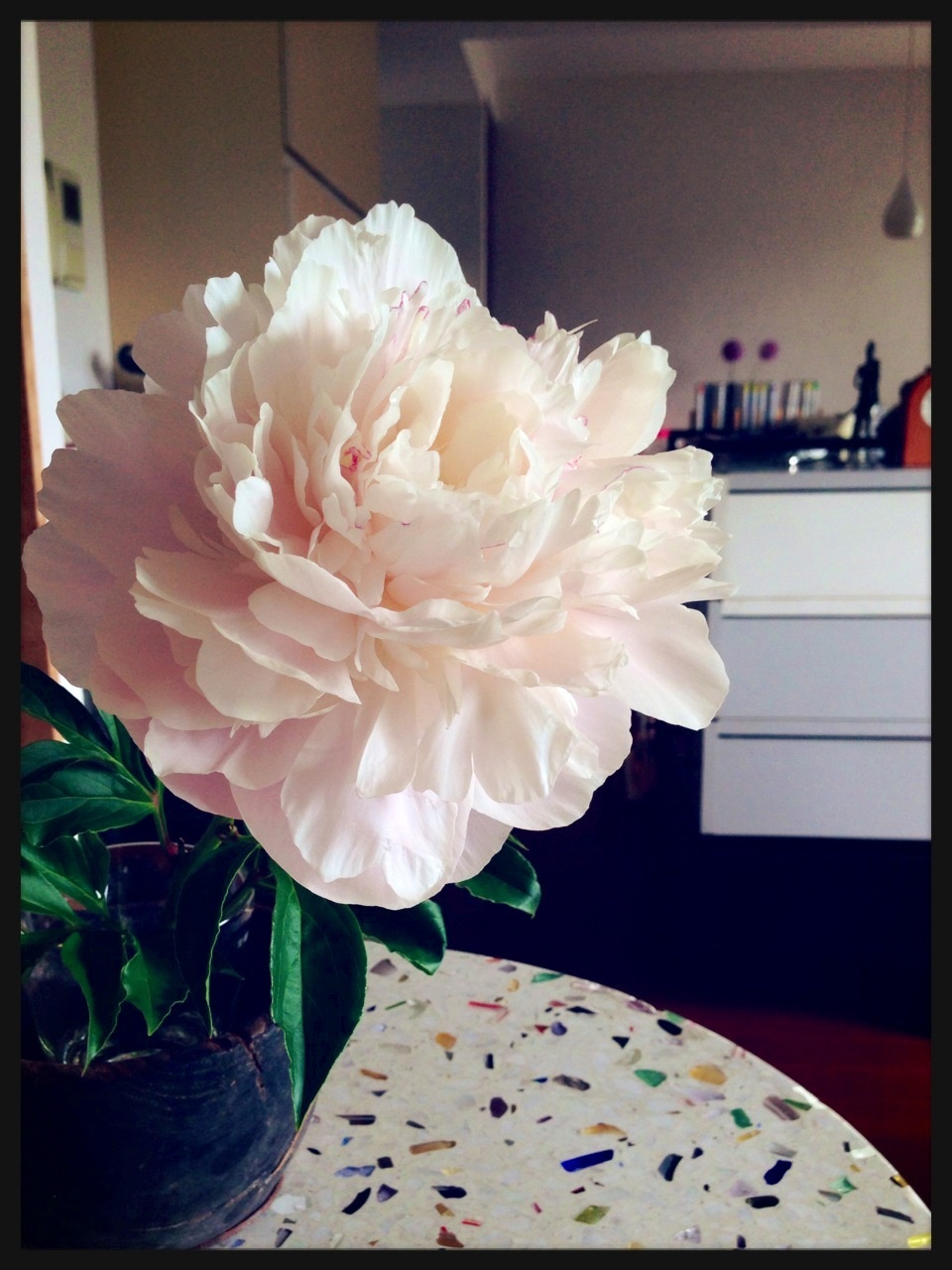 �Q������