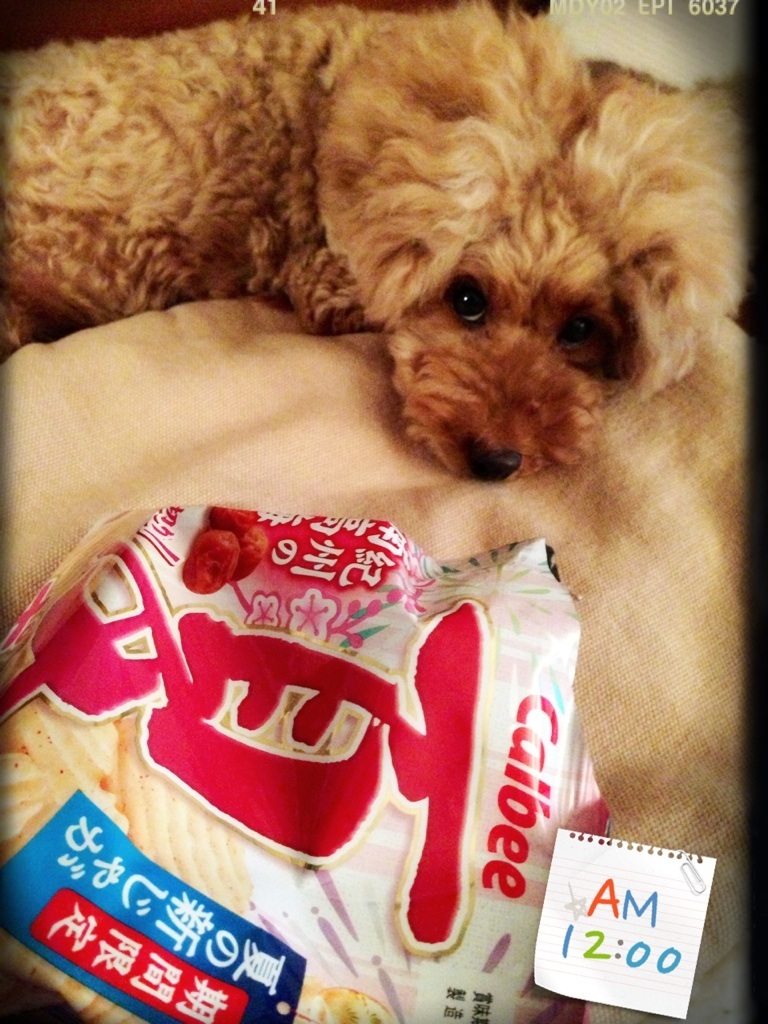 �钆�̃|�e�`