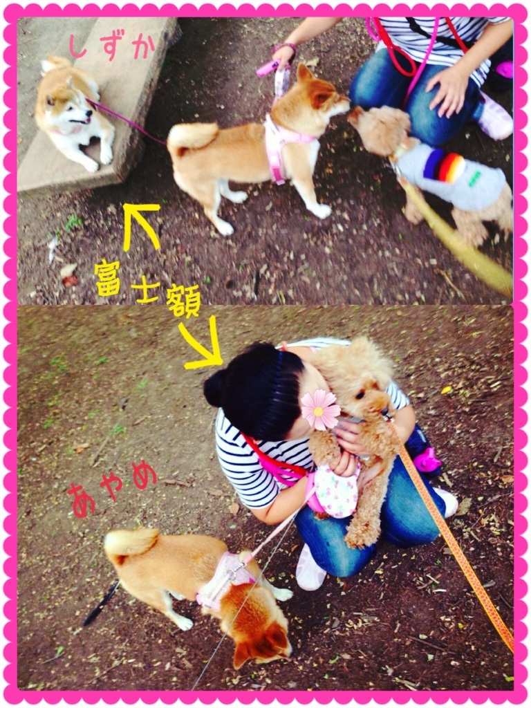 ��[����( �L���M)