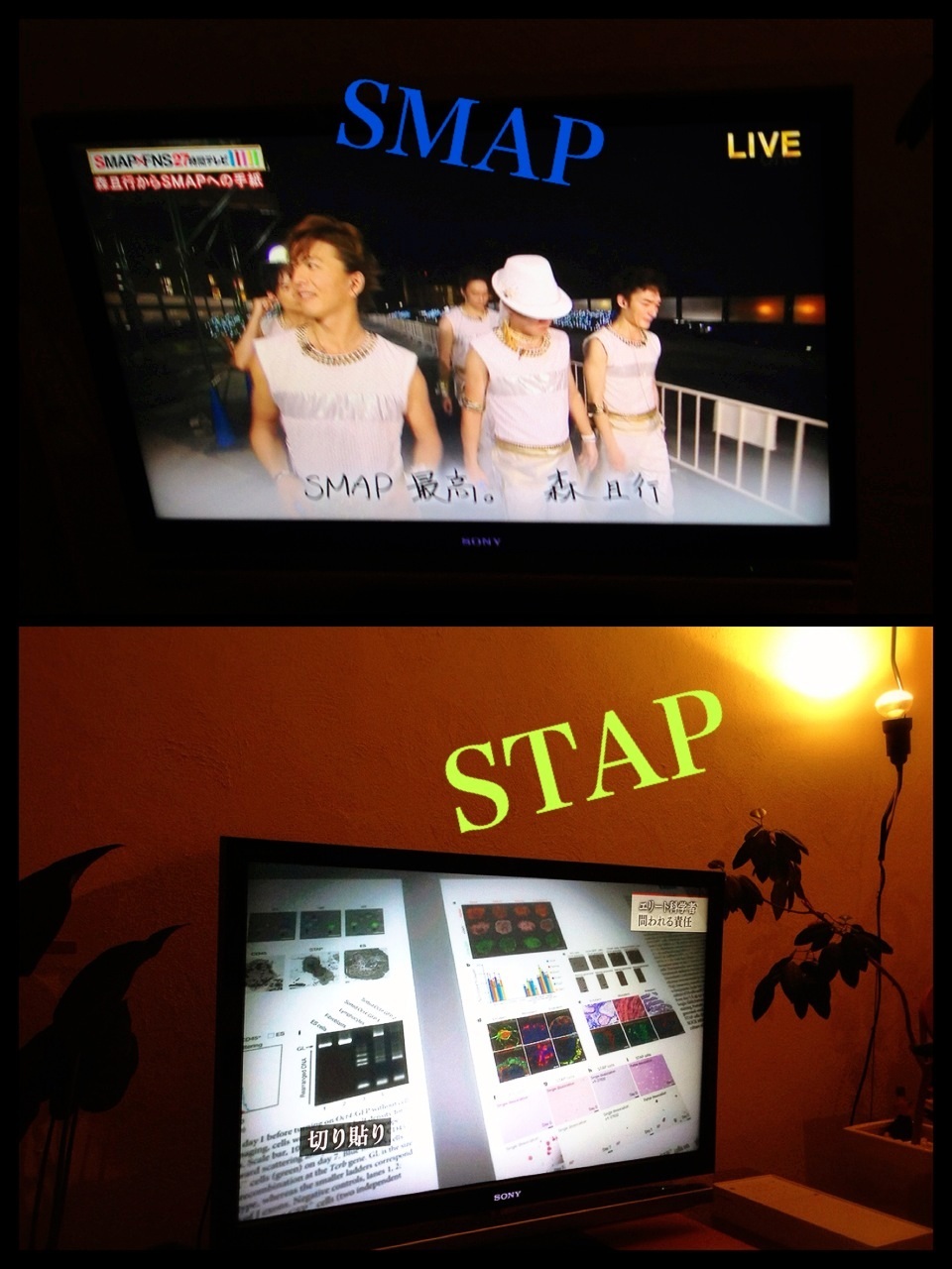 SMAP��STAP