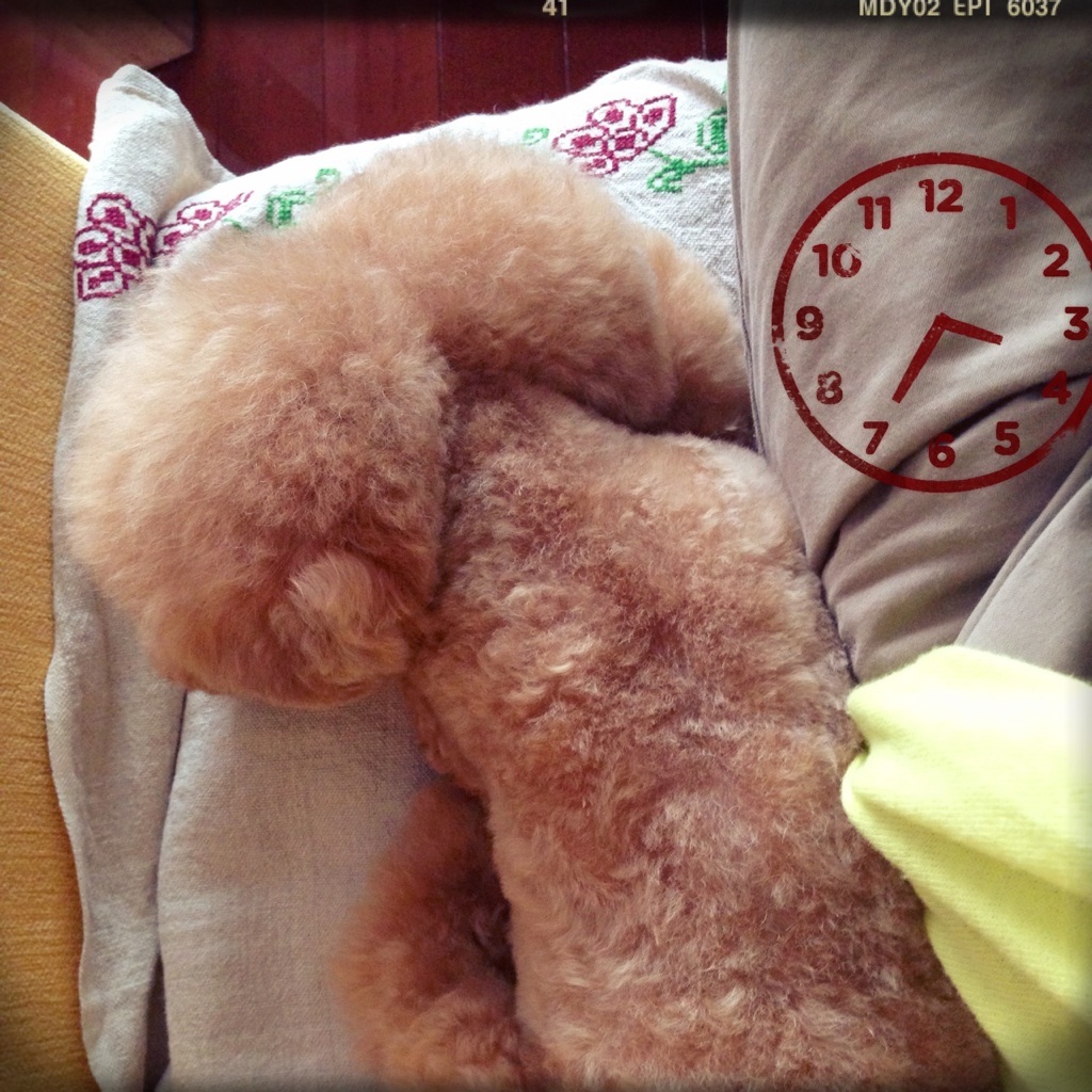 �撣�����ˁ�(�L�ÁM )