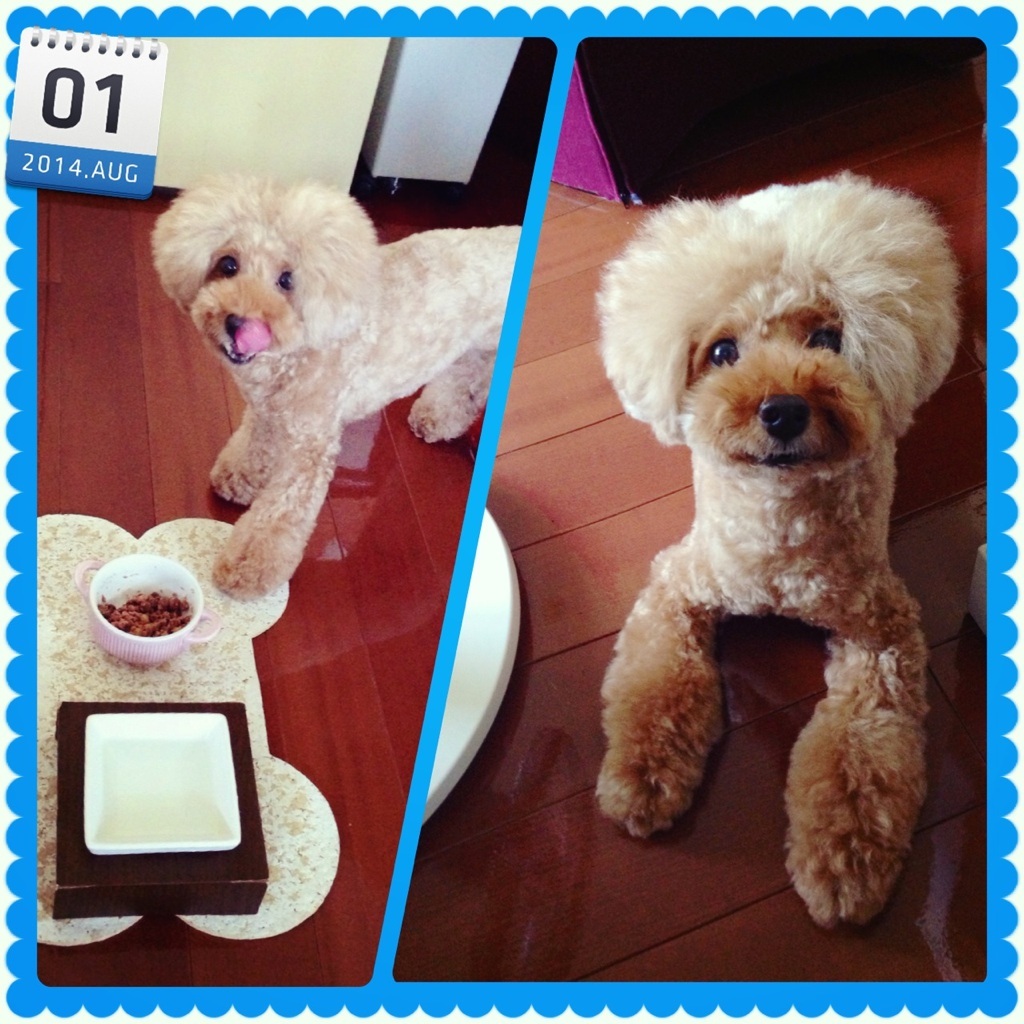vio������