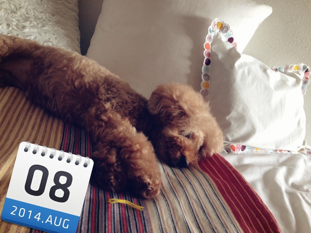 �J���オ���āc