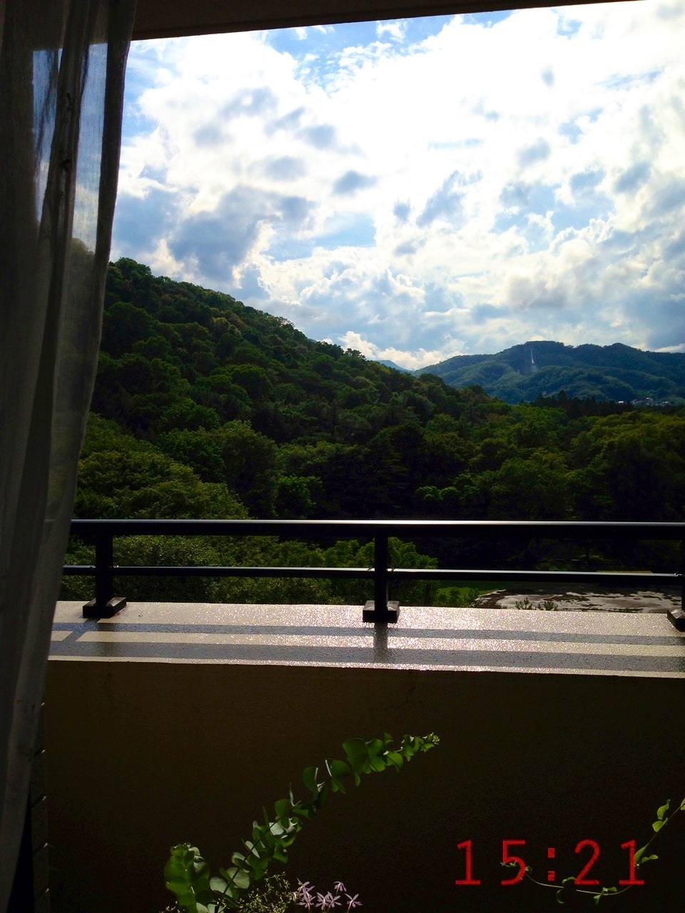 �܂�����܂���( �L �� ` )�m��