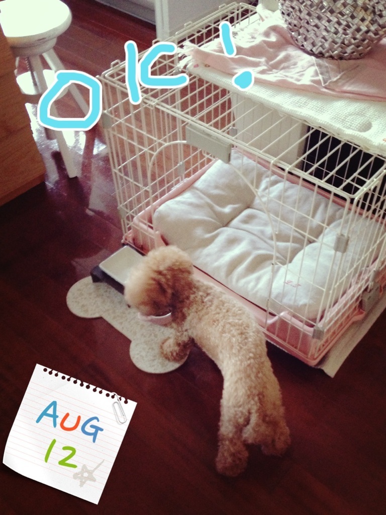�X�C�b�` ON �I(�O�[^)�m