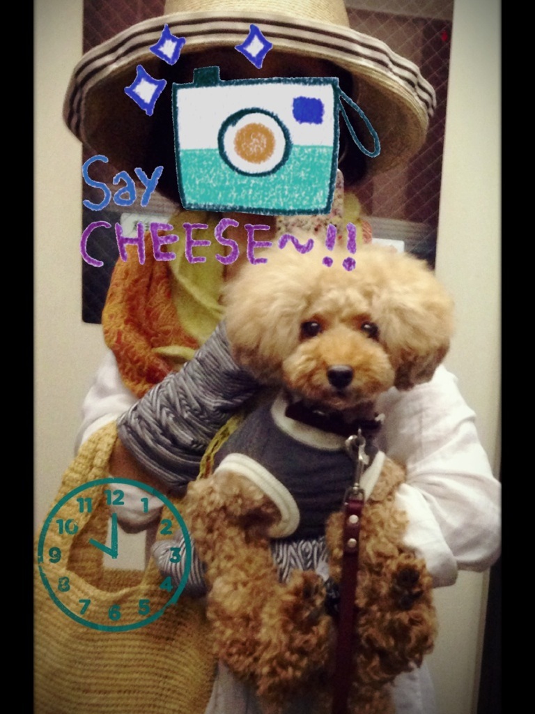 ���傿�イ���݂܂�