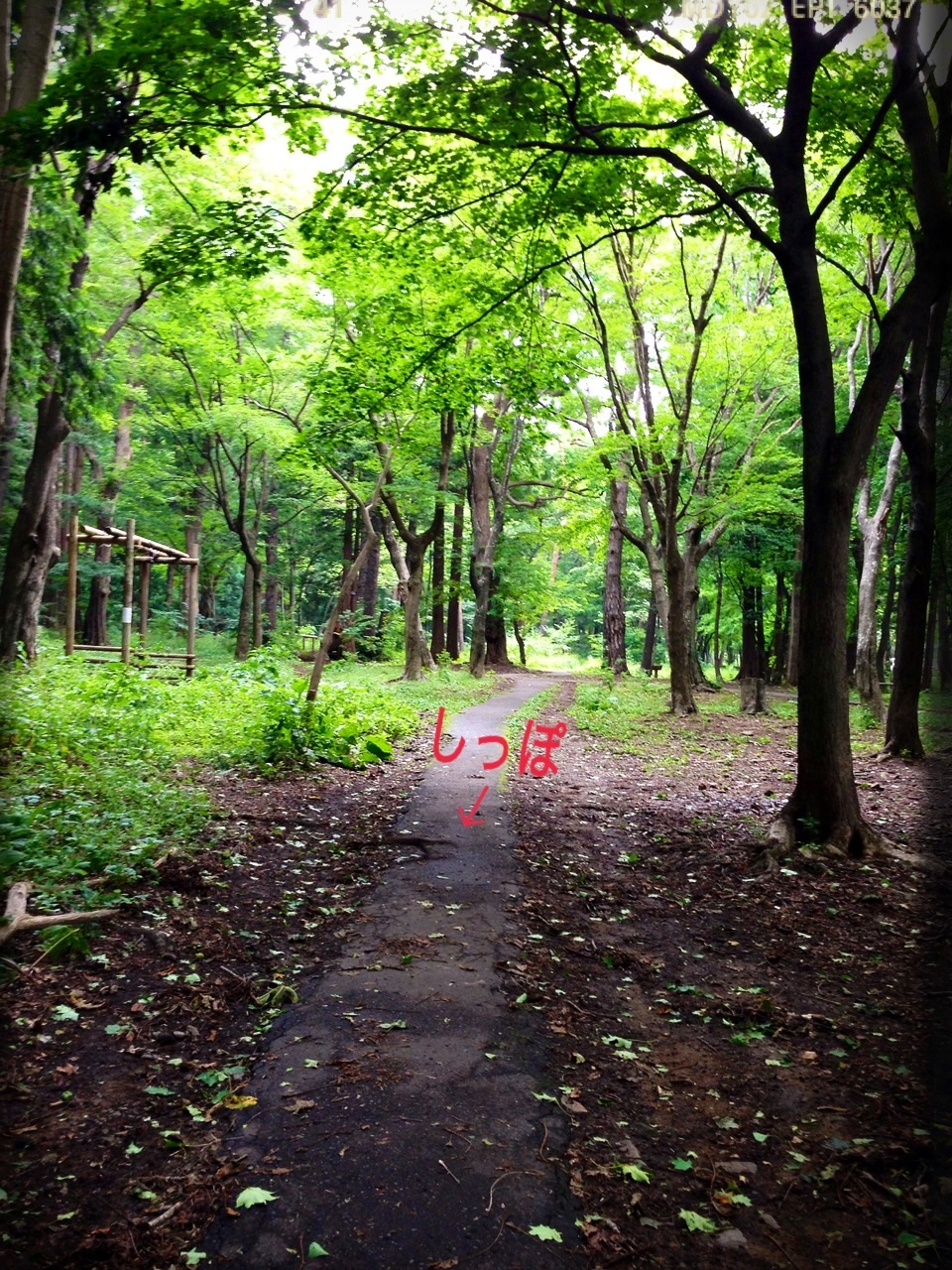 �����肷����