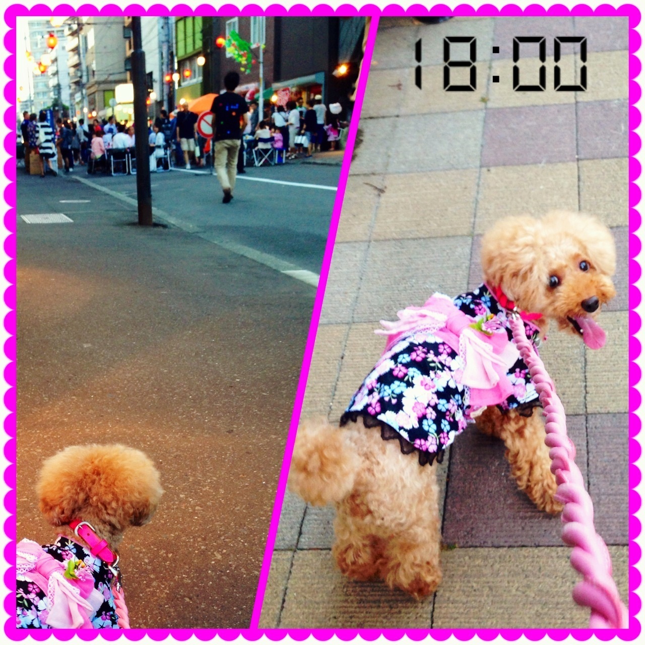 �o���`( �L �� ` )�m��