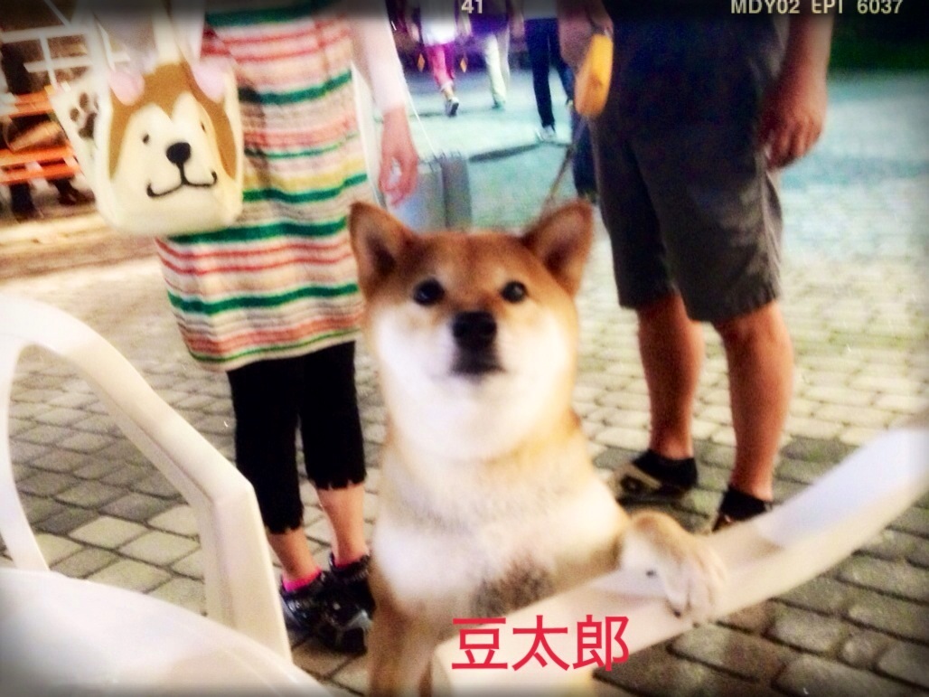 �^�ł��o��I