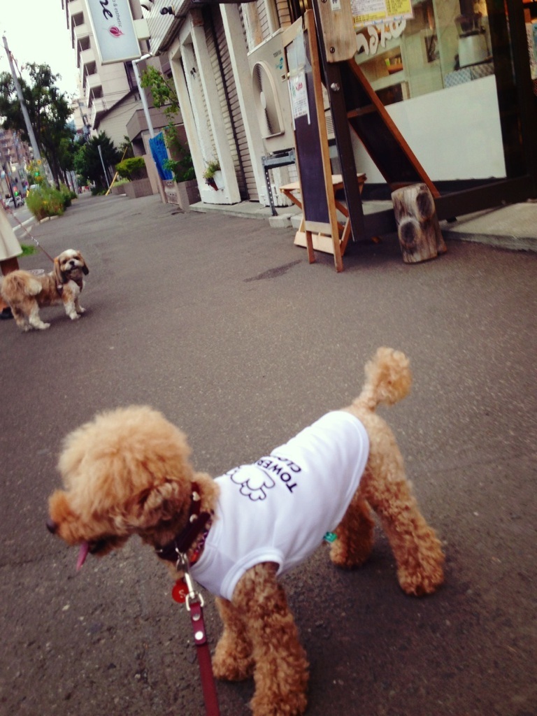 ���������Ă�(#^.^#)