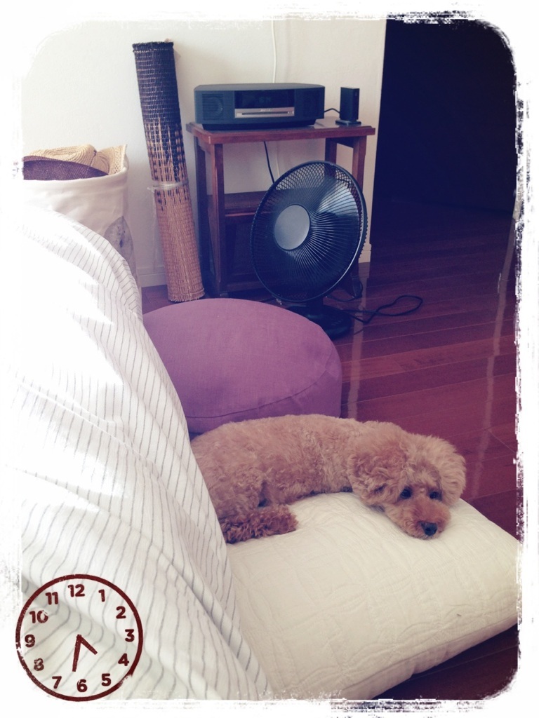 �C���f�B�A���T�}�[