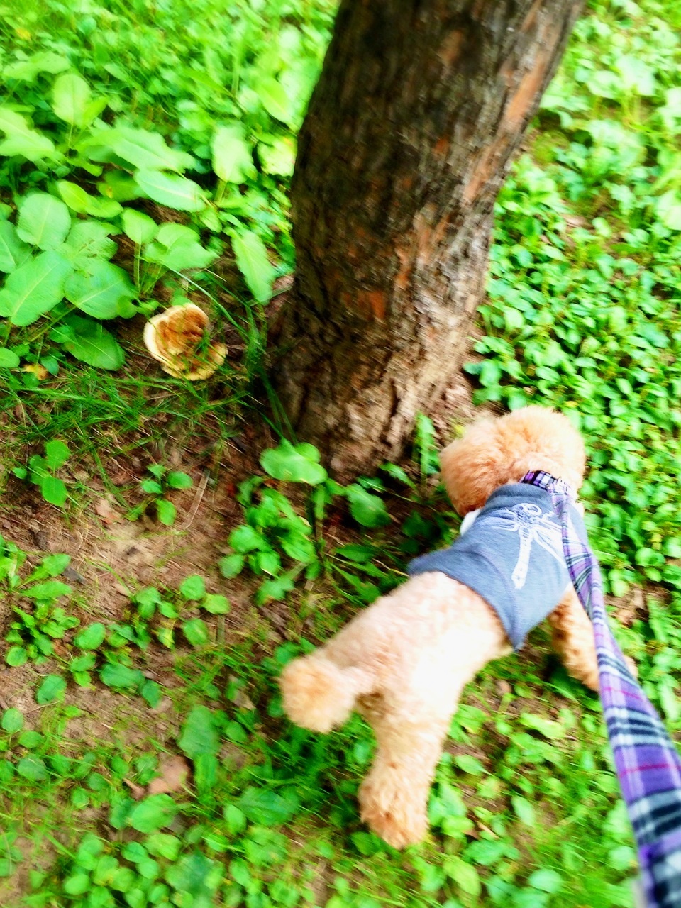 ���̂�