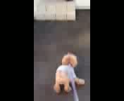 QUMI����񂿖K��