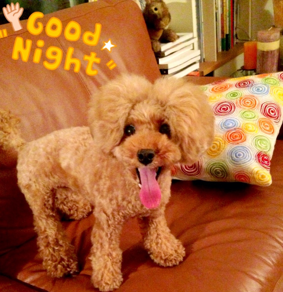���₷�݂Ȃ������c