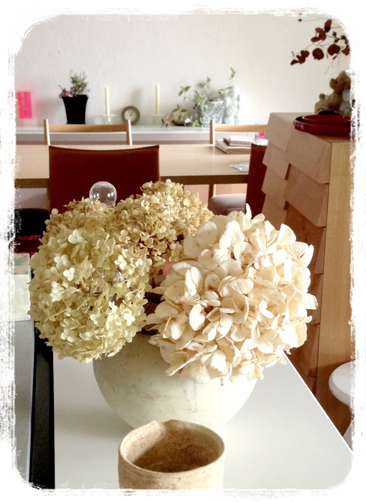 �h���C�t�����[
