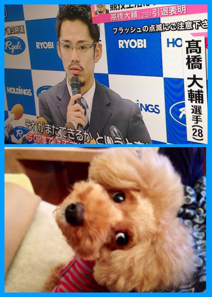 �傿���c