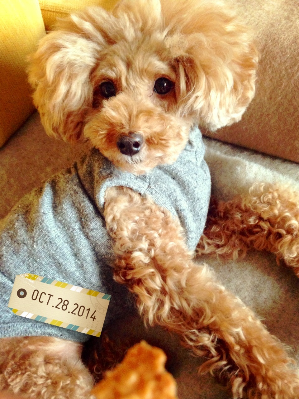 �Q�ڂ��܂Ȃ��c