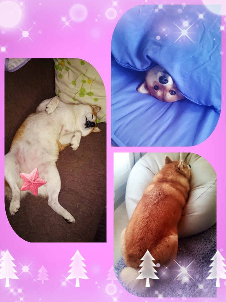 ���܂���c