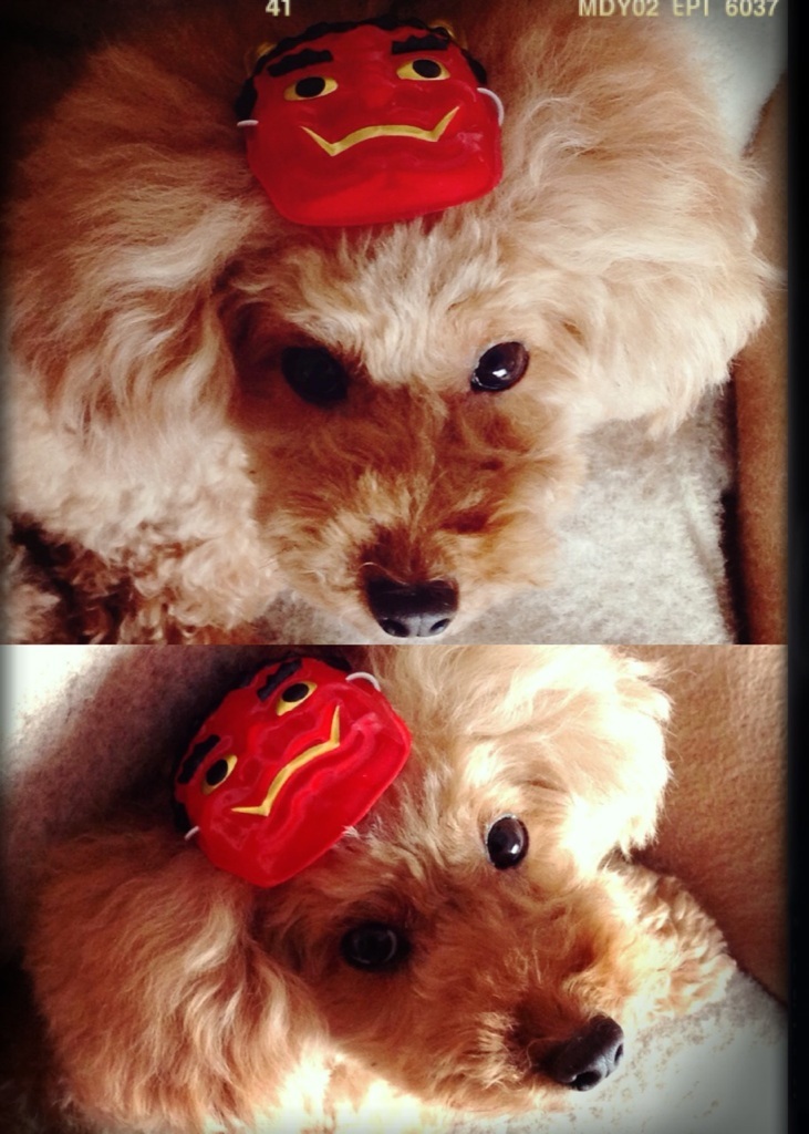 �S�ގ�