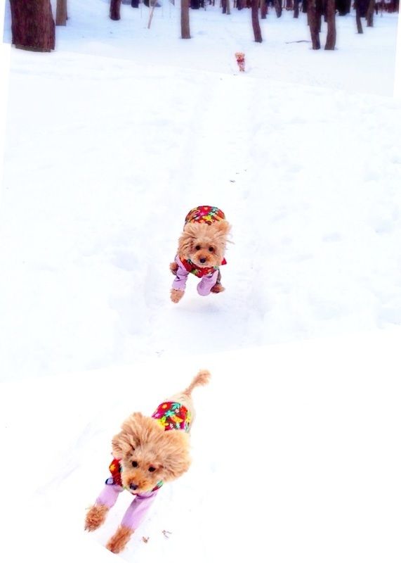 vio����`�� �I