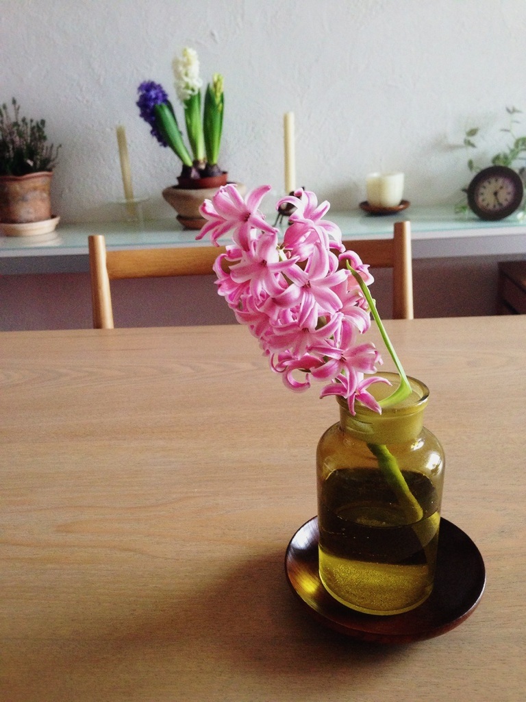 �s���N