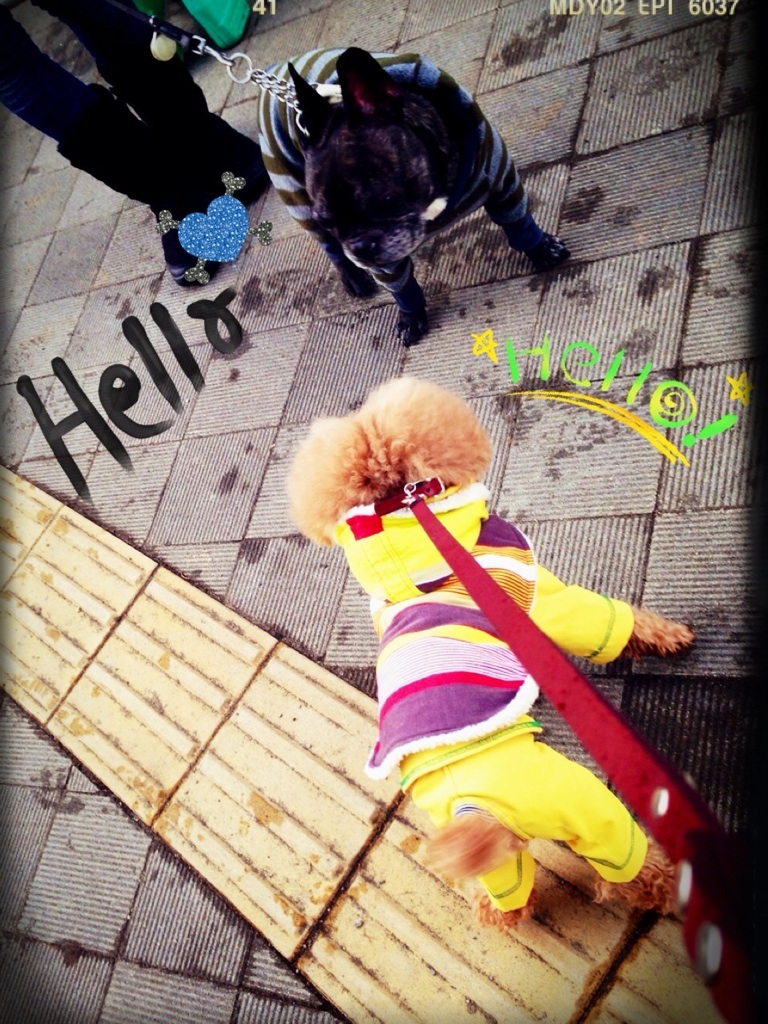 ���Ђ����Ԃ�`(�O�[^)�m