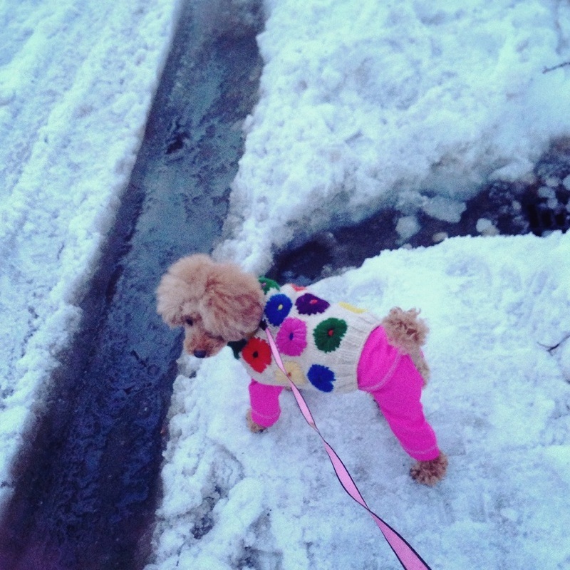 ���U����