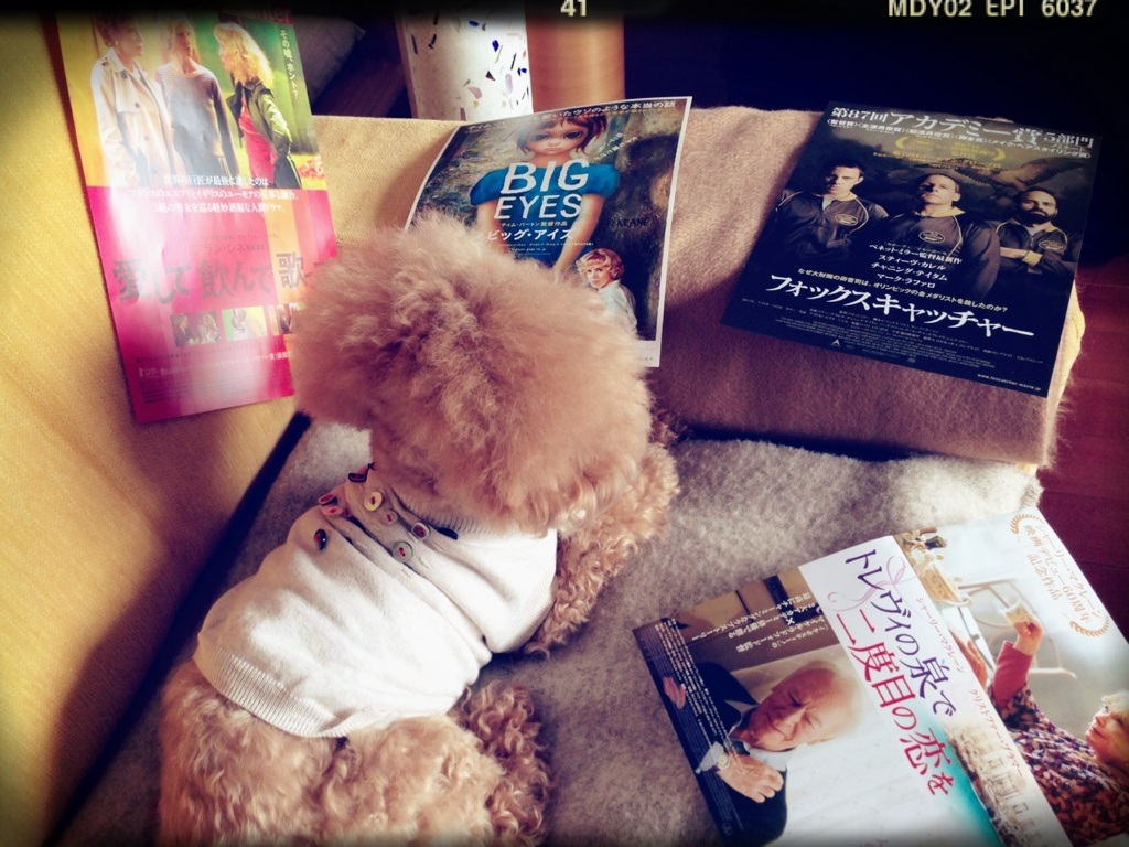 �t���C���[