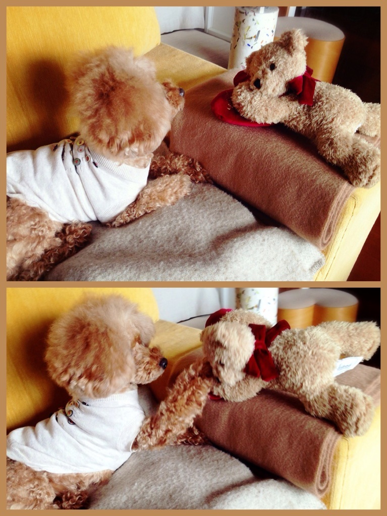 �ߑO���̃��B�I��