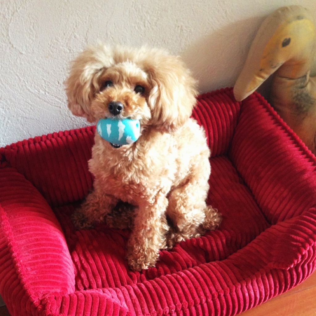 �s���s�������I