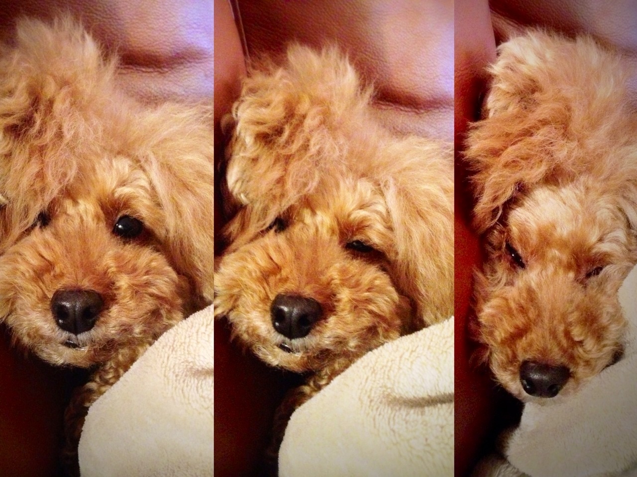 �c Zzzz