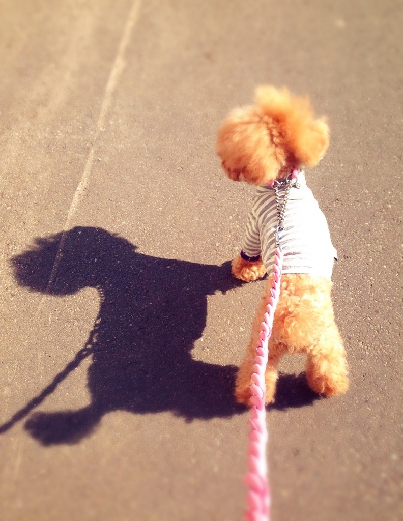 You've Got a Friend ��
