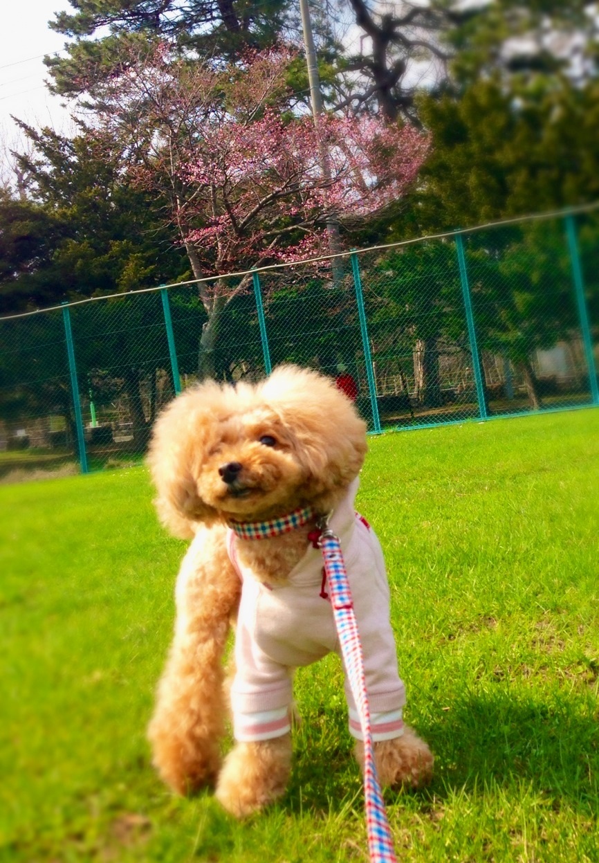 �炢����`(�܁���)��
