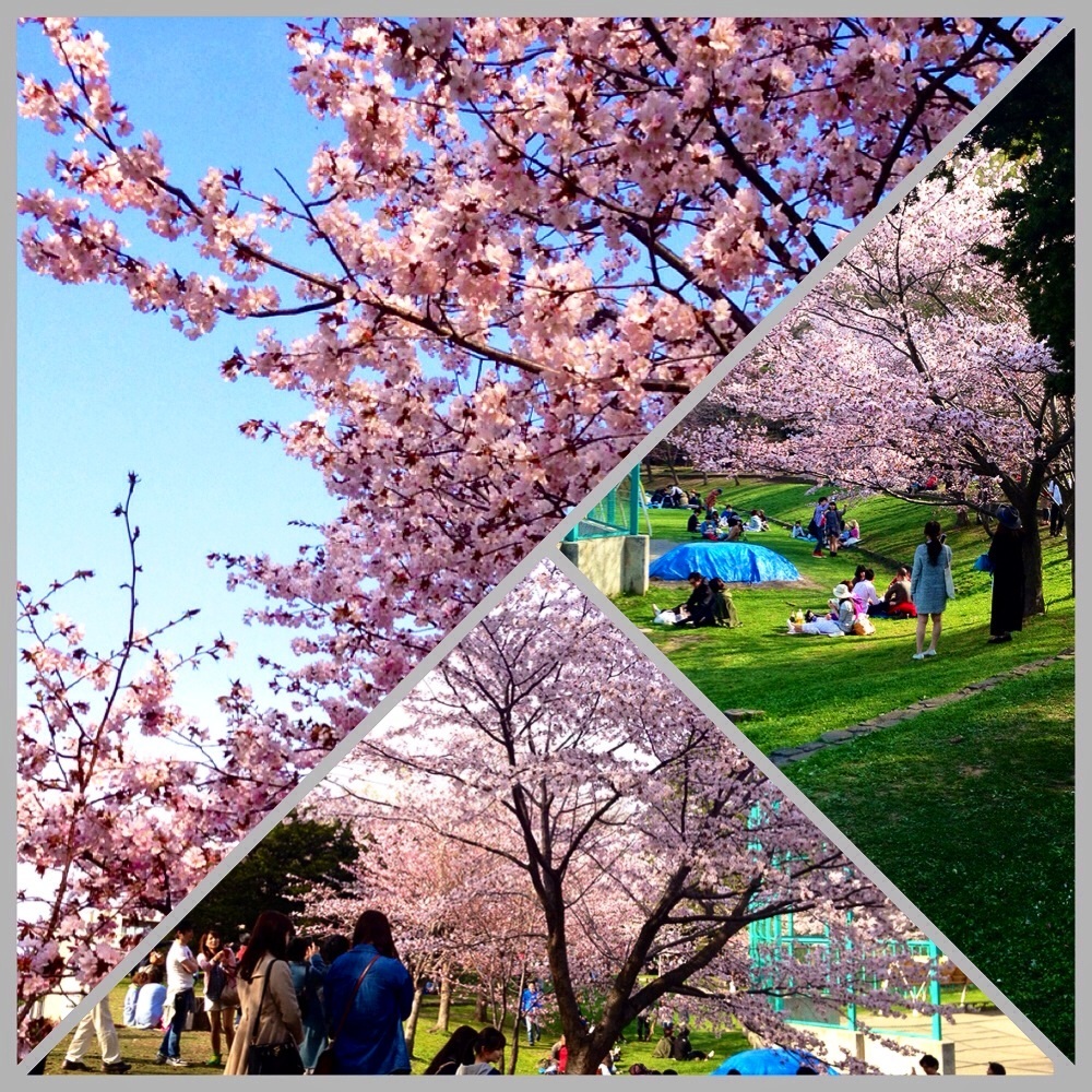 �ЂƁA�ЂƁA�Ђ�