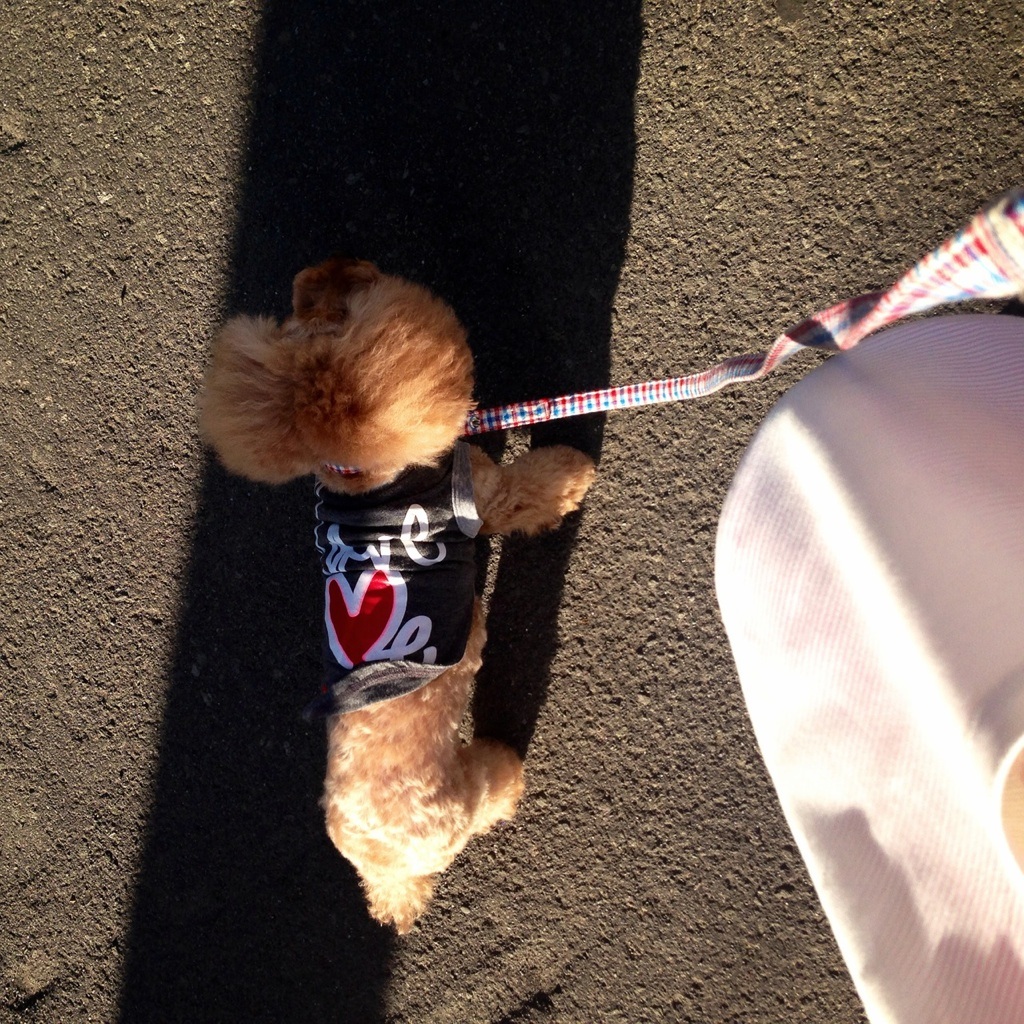 ���U���`��