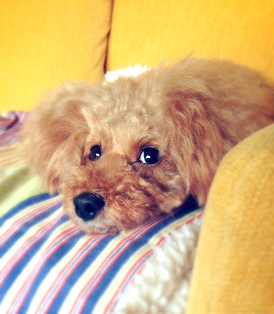 �l������