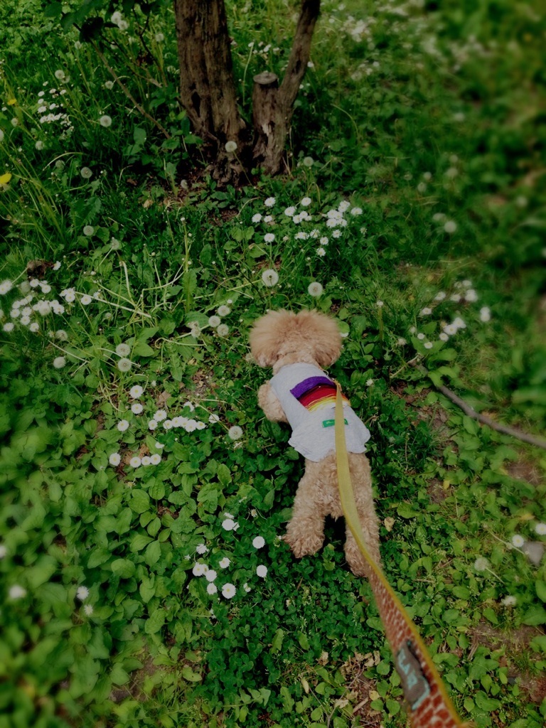 �ߌォ��
