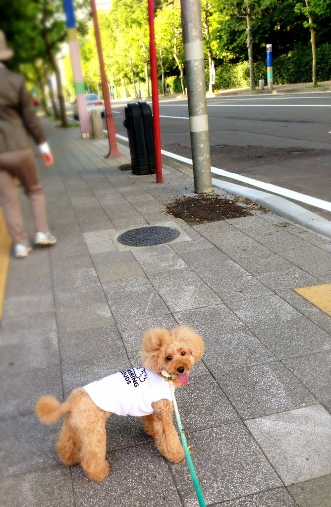 �A�蓹